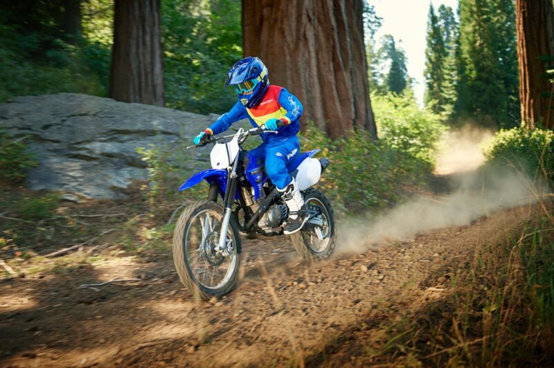 2021 Yamaha TTR125LWE EU Icon Blue Action 003 03