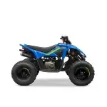CFMOTO CForce 110 2