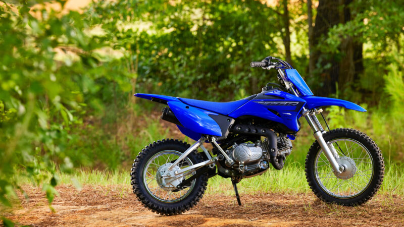 2023 Yamaha TTR110 EU Icon Blue Static 003 03