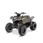 ATV POLARIS PHOENIX 200 AVALANCHE GREY