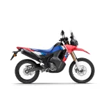 CRF Rally Color
