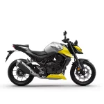 Hornet 750 06