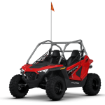 RZR 200